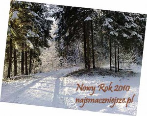 Nowy Rok 2010